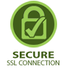 SSL Secure Website