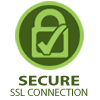 SSL Secure Website