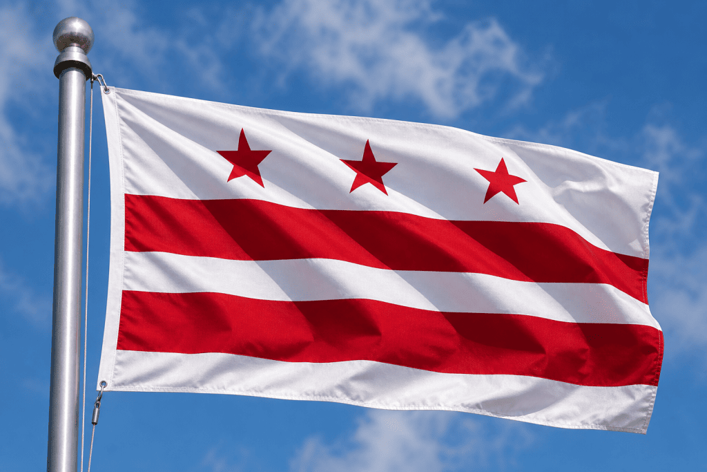District of Columbia state flag waving on a flagpole against a blue sky