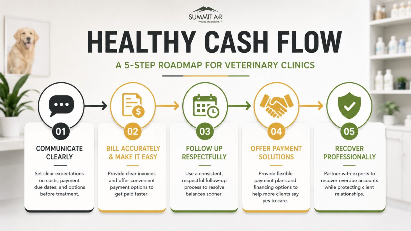 Infographic outlining a five-step cash flow roadmap for veterinary clinics, including billing, respectful follow-up, payment solutions, and professional debt recovery