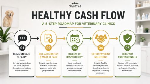 Infographic outlining a five-step cash flow roadmap for veterinary clinics, including billing, respectful follow-up, payment solutions, and professional debt recovery